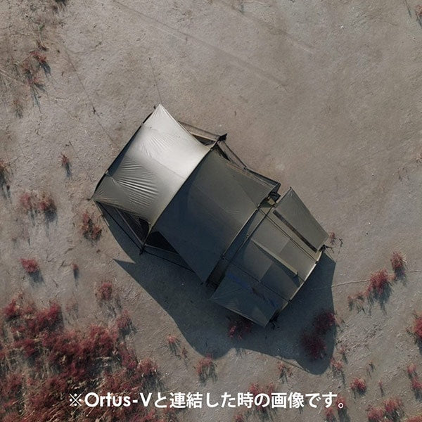 Ortus-N / NIGHT FALL (MOSS GREEN)