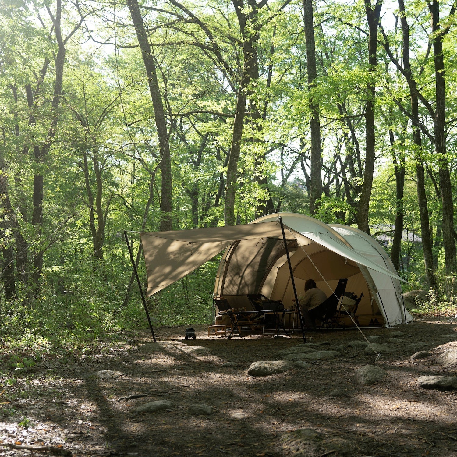 Yoto plus / 75D  アイボリー スカート無し インナー付属