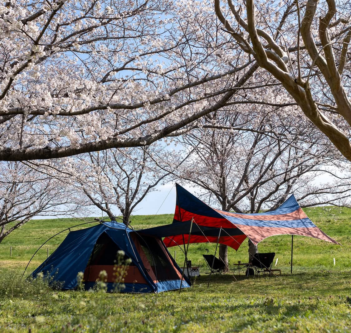 Woodenhouse limited color