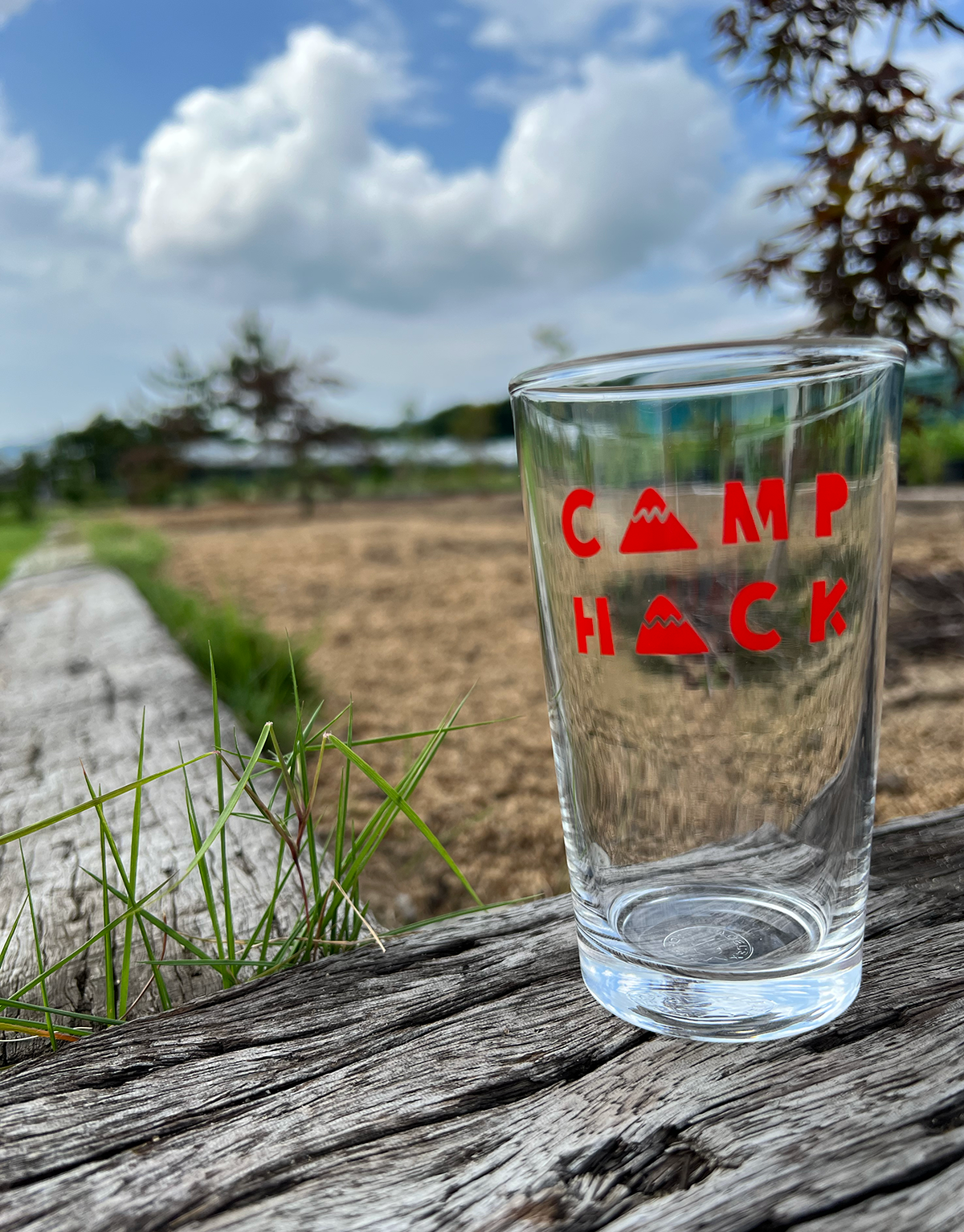 camp hack half pint glass (220ml)