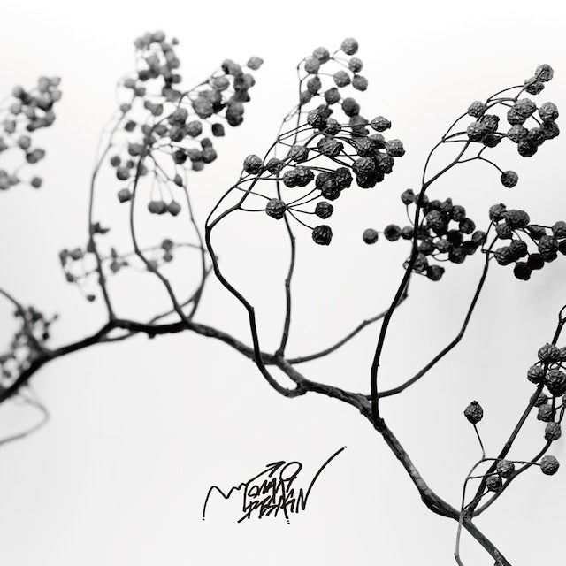 『Lamp Shelter』- 3g -