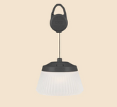 REEL LIGHT PRO